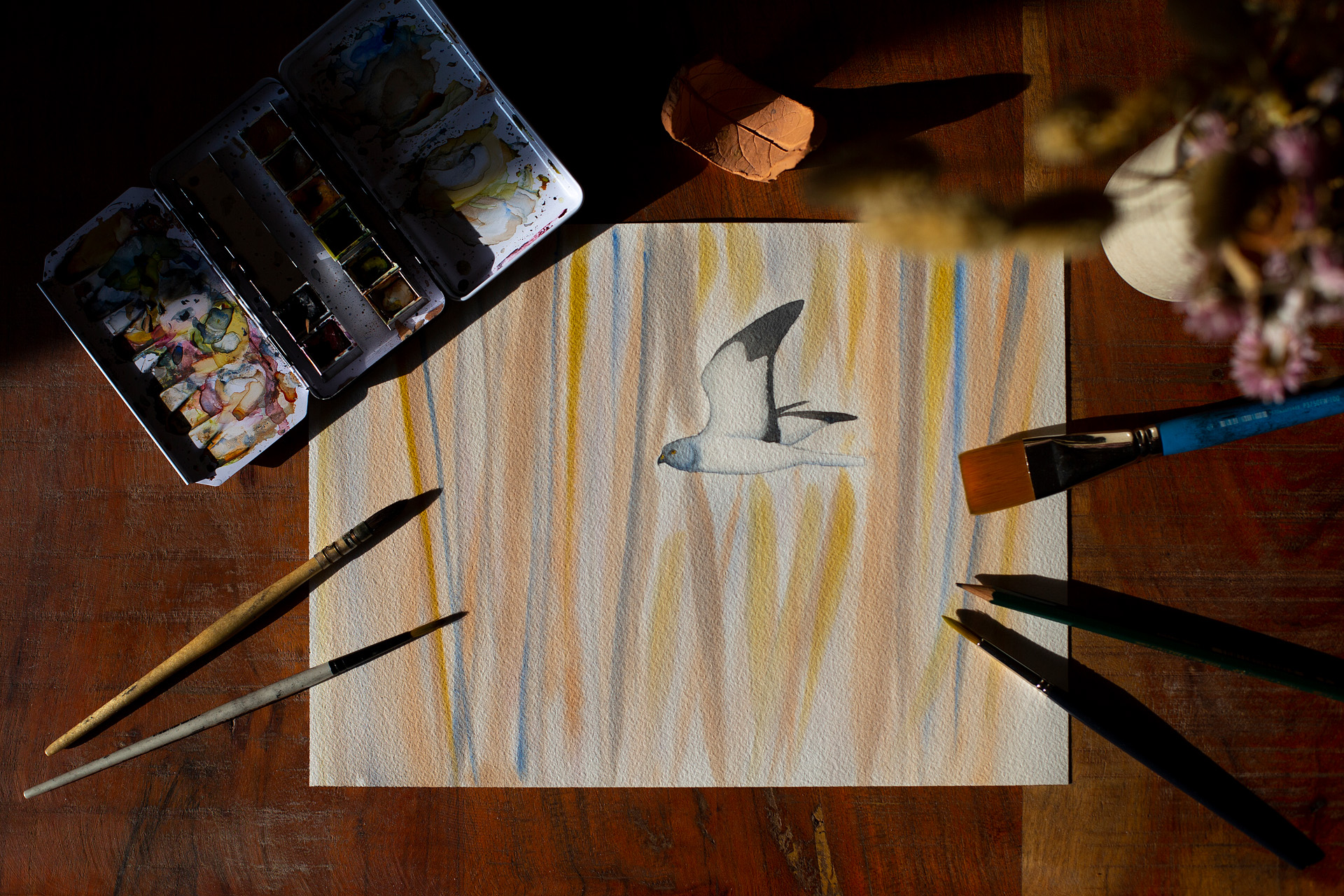 Amelie-sabanovic-dessinatrice-aquarelliste-nature-art-animalier-artiste